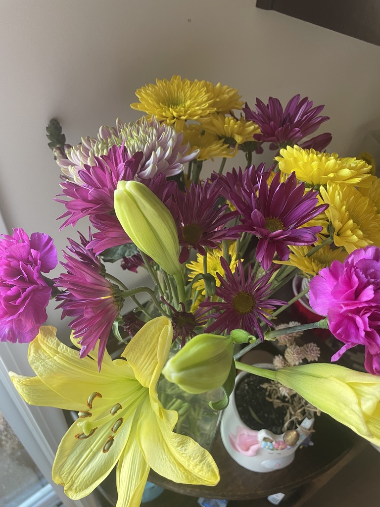 On the occasion of my birthday when celebrating feels…&nbsp;wrong